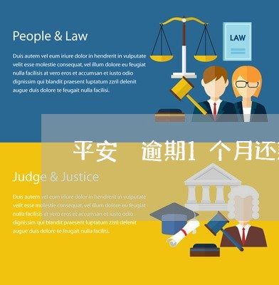 平安 逾期1个月还款可以吗 平安 逾期1个月还款可以吗